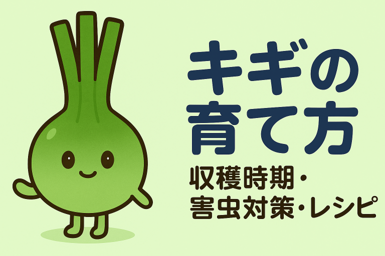 ネギの育て方