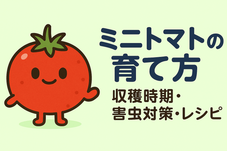 ミニトマトの育て方