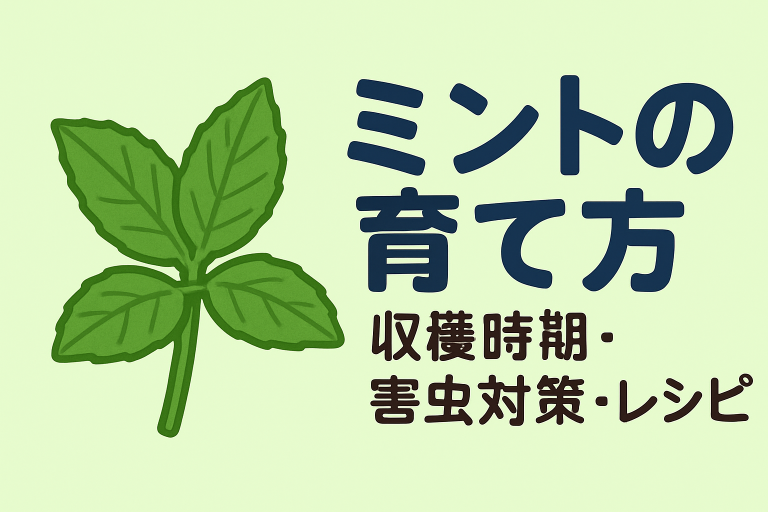ミントの育て方