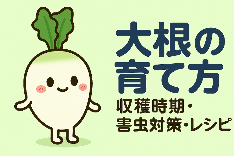 大根の育て方