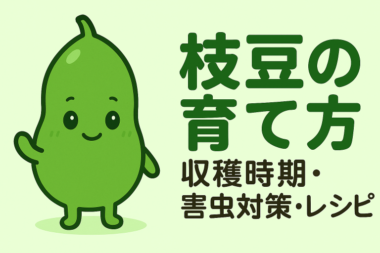 枝豆の育て方